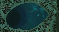 Twilight Pool Party